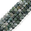 Natural Moss Agate Bead Strands G-J358-01-4mm-1
