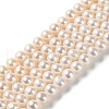 Natural Cultured Freshwater Pearl Beads Strands PEAR-E018-65-1
