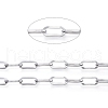 Non-Tarnish 3.28 Feet 304 Stainless Steel Paperclip Chains X-CHS-D030-02P-1