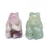 Natural Fluorite Sculpture Display Decorations G-F719-55B-2