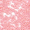 Baking Paint Glass Seed Beads SEED-A033-05M-3