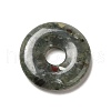 Natural African Bloodstone Pendants G-I331-01I-2