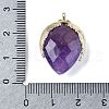 Natural Amethyst Pendants G-U019-01G-06-3
