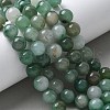 Natural Green Aventurine Beads Strands G-Q462-10mm-20-6