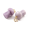 Natural Lepidolite/Purple Mica Stone Pendants G-M380-C03-P-3