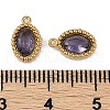 Ion Plating(IP) 304 Stainless Steel Micro Pave Cubic Zirconia Charms STAS-K256-19G-01-3