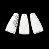 Natural Howlite Pendants G-E596-01E-2