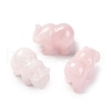 Natural Rose Quartz Display Decorations DJEW-P019-C05-1