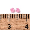 Glass Seed Beads SEED-XCP0001-23A-3