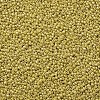 (Repacking Service Available) Glass Seed Beads SEED-C021-4mm-122-2