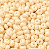 Baking Paint Glass Seed Beads SEED-B001-02A-09-3