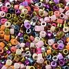 Baking Paint Glass Seed Beads X-SEED-S042-05A-13-3