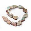 Natural Aqua Terra Jasper Beads Strands G-D857-02-2
