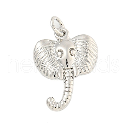 Rack Plating Brass Pendants KK-U021-07P-1