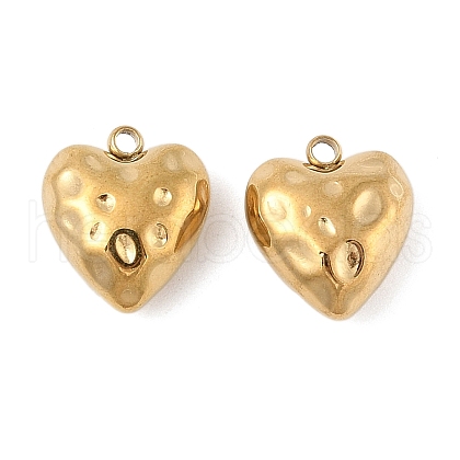 304 Stainless Steel Charms STAS-P380-54G-1