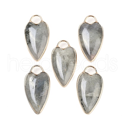 Natural Labradorite Pendants G-G193-02G-05-1