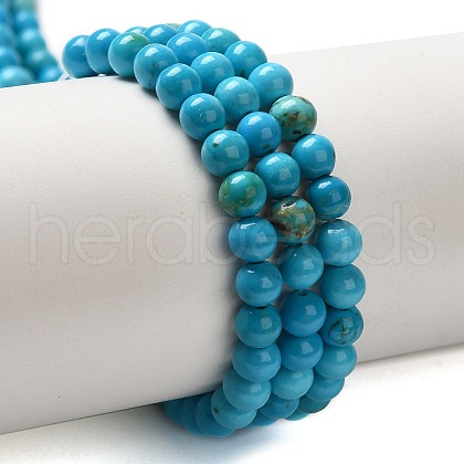 Dyed Natural Magnesite Beads Strands G-Q181-B01-01-1