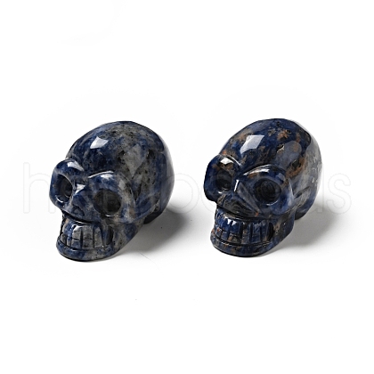 Halloween Natural Sodalite Display Decorations DJEW-K015-31-1