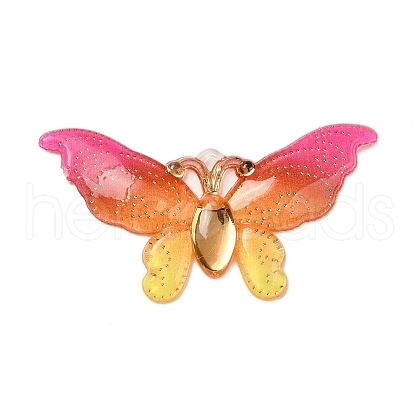 Gradient Color Resin Pendants RESI-Q012-03K-1