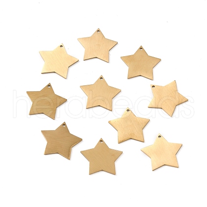 Ion Plating(IP) 304 Stainless Steel Pendants STAS-F271-04C-G-1