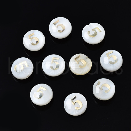 Natural Freshwater Shell Beads SHEL-N003-20-05-1