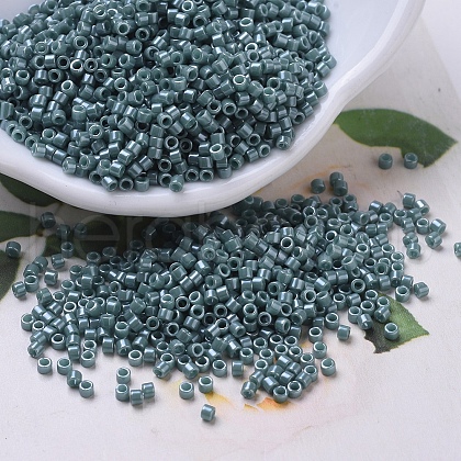 MIYUKI Delica Beads SEED-J020-DB0264-1