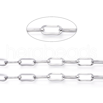 Non-Tarnish 3.28 Feet 304 Stainless Steel Paperclip Chains X-CHS-D030-02P-1
