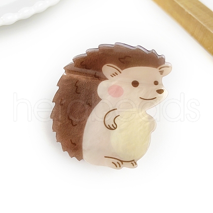 Acrylic Claw Hair Clips PW-WG983C8-19-1