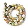 Dyed & Heated Natural Fire Crackle Agate Beads Strands G-P539-B01-23-3
