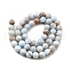 Natural Striped Stone Beads Strands G-D315-A01-01-10mm-3
