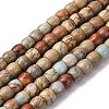 Natural Aqua Terra Jasper Beads Strands G-L624-D03-8x6mm-2