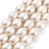 Natural Cultured Freshwater Pearl Beads Strands PEAR-P062-13E-2