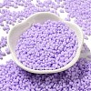 Glass Frosted Seed Beads SEED-K009-05B-04-2