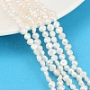 Natural Cultured Freshwater Pearl Beads Strands PEAR-P064-19D-09A-1