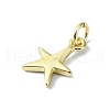 Brass Charms KK-H475-38G-03-2