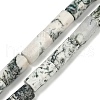 Natural Tree Agate Beads Strands G-U018-B03-01-2