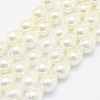 Shell Pearl Beads Strands BSHE-P024-05-1