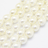 Shell Pearl Beads Strands BSHE-P024-05-1