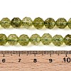 K9 Glass Beads Strands GLAA-N014-8mm-03-4