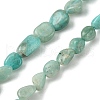 Natural Amazonite Beads Strands G-Z034-D06-01-1