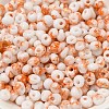 Baking Paint Glass Seed Beads SEED-F006-01A-10-3