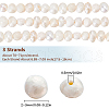 SUNNYCLUE 3 Strands Natural Cultured Freshwater Pearl Beads Strands PEAR-SC0001-21-2