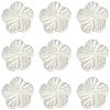 30Pcs Natural Freshwater Shell Beads Strands SHEL-CJ0001-30-3