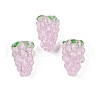 Handmade Lampwork Enamel Beads LAMP-U004-07F-1