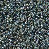 MIYUKI Round Rocailles Beads SEED-G007-RR1021-3