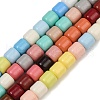 Handmade Lampwork Beads Strands LAMP-S070-06E-1
