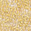 6/0 Glass Seed Beads X1-SEED-A015-4mm-2202-2