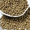 Baking Paint Glass Seed Beads X1-SEED-B001-02A-18-1