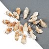 Natural Shell Beads Strands SHEL-K009-12-2