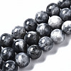 Natural Labradorite Beads Strands G-N328-49D-01-1